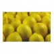 Limon amarillo