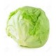 Lechuga iceberg