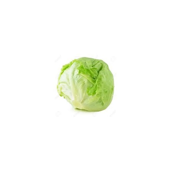 Lechuga iceberg