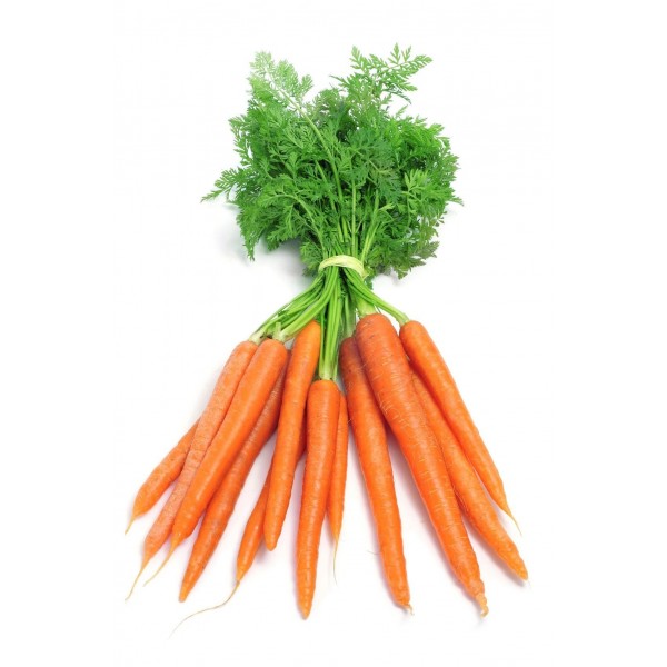 Zanahoria rama
