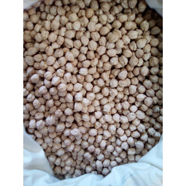 Garbanzo castellano