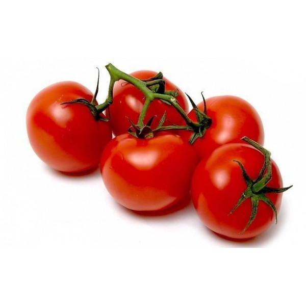 Tomate rama