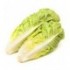 Lechuga bolsa
