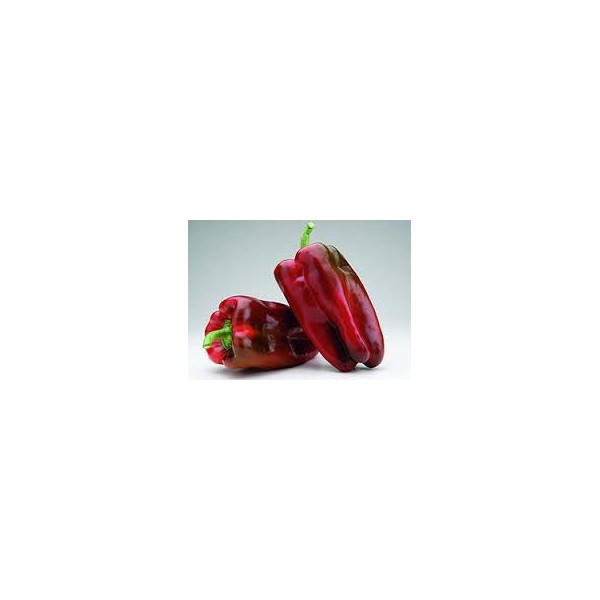 Pimiento rojo