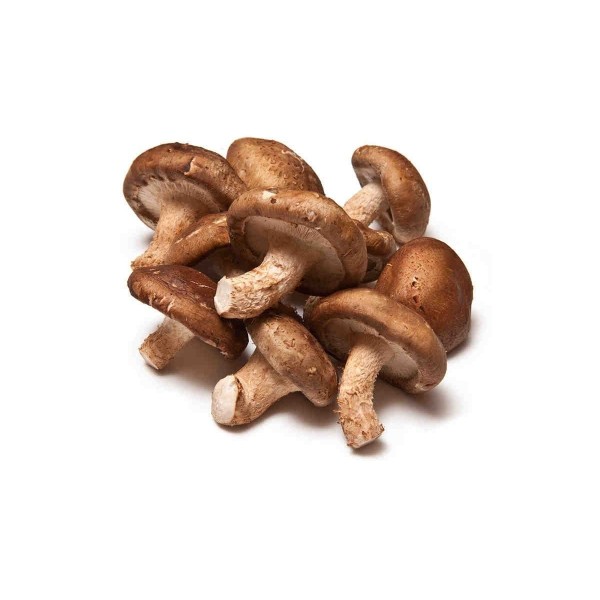 Setas Shiitake