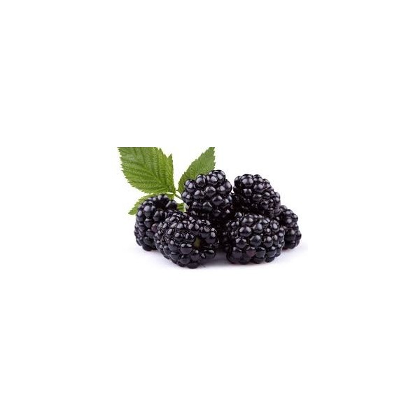 Moras